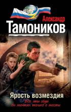 Книга Ярость возмездия