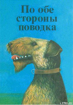 Книга Сирра и 700 ягнят