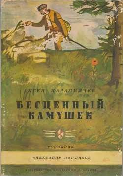 Книга Бесценный камушек