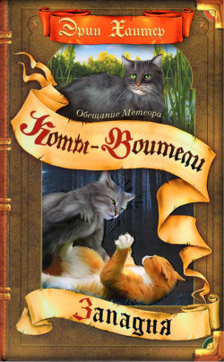 Книга Западня