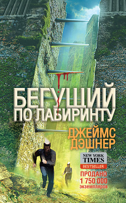 Книга Бегущий по лабиринту