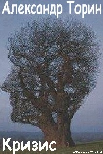 Книга Кризис