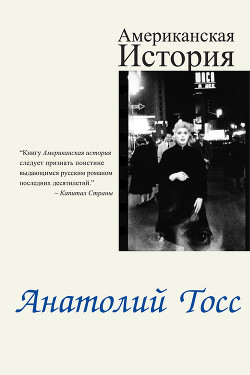 Книга Американская история