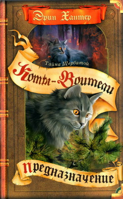 Книга Тайна Щербатой. Предназначение
