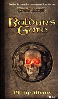 Книга Врата Балдура