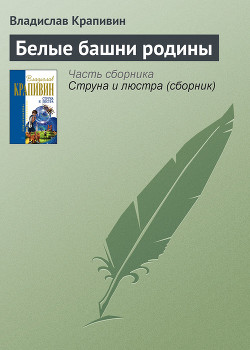 Книга Белые башни родины