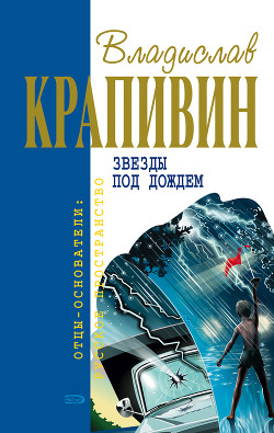 Книга Звезды под дождем