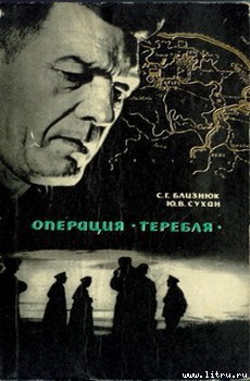 Книга В лабиринте замершего города