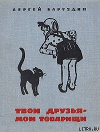 Книга Сложное поручение