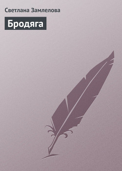 Книга Бродяга