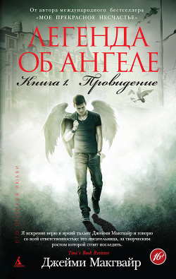Книга Легенда об ангеле. Книга 1. Провидение