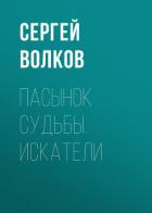 Книга Пасынок судьбы. Искатели