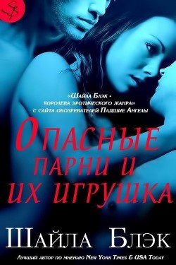 Книга Опасные парни и их игрушка (ЛП)