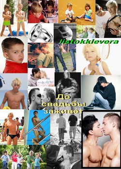 Книга До свадьбы заживёт (СИ)