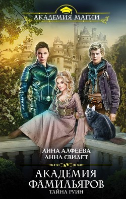 Книга Тайна руин