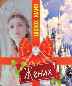 Книга Жених (СИ)