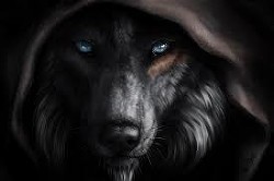 Книга Поиграй со мной в мою игру. Я- охотник, Ты- жертва. (СИ)