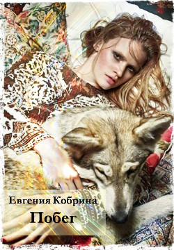 Книга Побег (СИ)