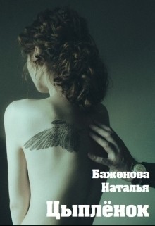 Книга Цыплёнок (СИ)