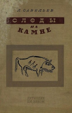 Книга Следы на камне