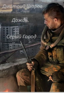 Книга Дождь. Серый Город (СИ)