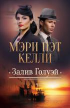 Книга Залив Голуэй