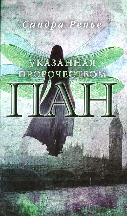 Книга Указанная пророчеством