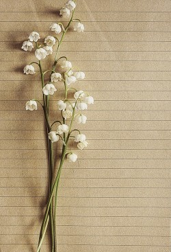 Книга Вопреки всем сказкам