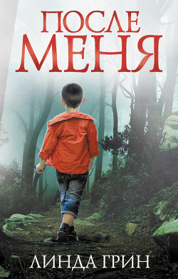 Книга После меня