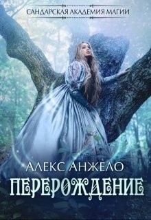 Книга Сандарская академия магии. Перерождение (СИ)