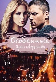 Книга Особенные. Путь к совершенству (СИ)