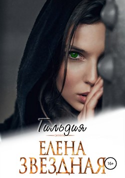 Книга Гильдия (СИ)