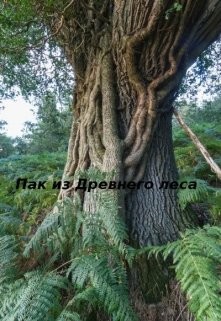 Книга Пак из Древнего леса (СИ)