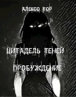 Книга Цитадель Теней. Пробуждение (СИ)