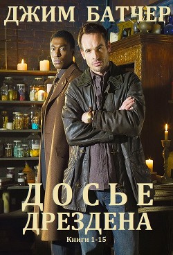 Книга Архивы Дрездена. Сборник. Книги 1-15 (СИ)