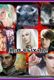 Книга Два выхода (СИ)