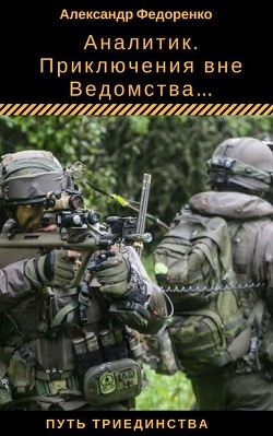 Книга Аналитик (СИ)