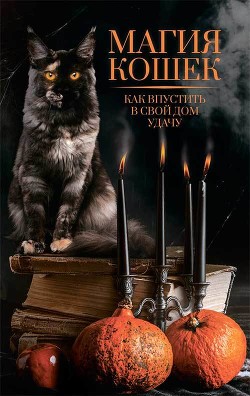 Книга Магия кошек. Как впустить в свой дом удачу
