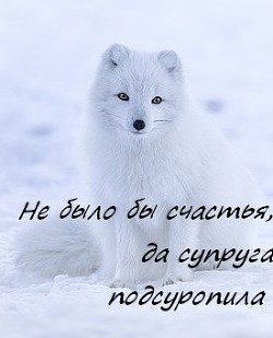 Книга Не было бы счастья, да супруга подсуропила