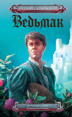 Книга Крещение огнем. Башня Ласточки