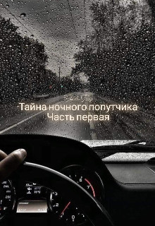 Книга Тайна ночного попутчика (СИ)