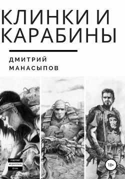 Книга Клинки и карабины (СИ)