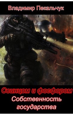 Книга Собственность государства (СИ)