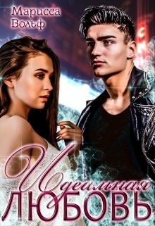 Книга Идеальная Любовь (СИ)