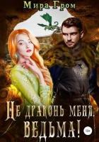Книга Не драконь меня, ведьма! (СИ)