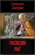 Книга Господин маг (СИ)
