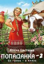 Книга Попаданка-2. Из грязи - в князи (СИ)