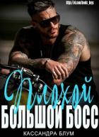 Книга Плохой Большой Босс (ЛП)