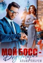 Книга Мой босс - Дед Мороз (СИ)