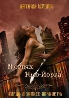 Книга В огнях Нью-Йорка. Когда в запасе вечность…